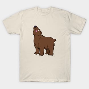 Classic Dumb Bear T-Shirt